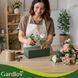 Губка флористична 23x11x8см  20 шт. Gardlov 27643 27643 фото 9